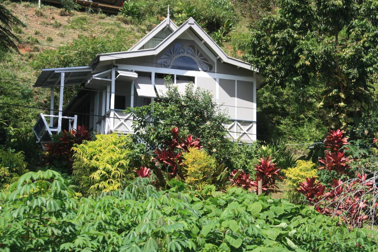 Gingerbread Cottage And Studio Fiji Савусаву Экстерьер фото